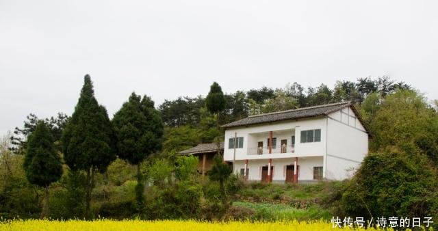 19年起，农村房屋整治加速推进，这5种房子将会统一拆除！