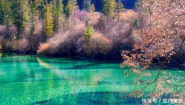 重磅消息！九寨沟国庆华丽回归！沉寂两年又将惊艳世人！