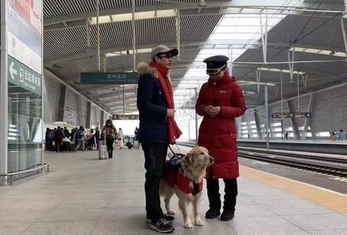 可以携带动物乘火车吗?携带动物坐车的正确“姿势”在这里