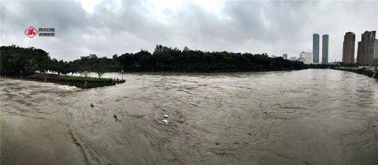 辟谣!鳄鱼逃跑、大桥被淹、美女被救…都是假的!这些信息才是真的