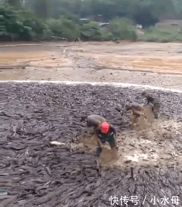 农民把鱼塘抽干水后, 全是这种鱼, 让人忍不住头皮发麻