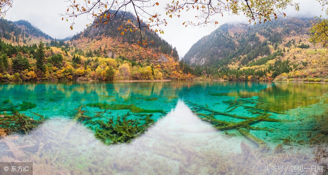 秋季来这里，才发现什么是天堂