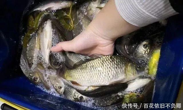  『些钓友』打窝的4种错误方式，鱼口少上鱼慢，中了的钓友赶紧改
