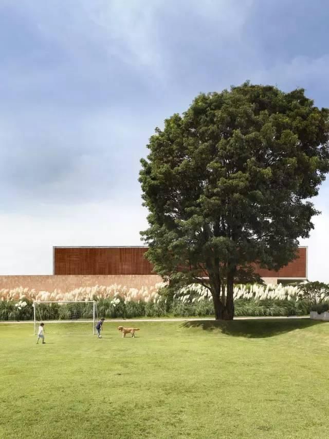 我的屋前有颗树！庭院景观设计 庭院树木 因树建房 依山建房