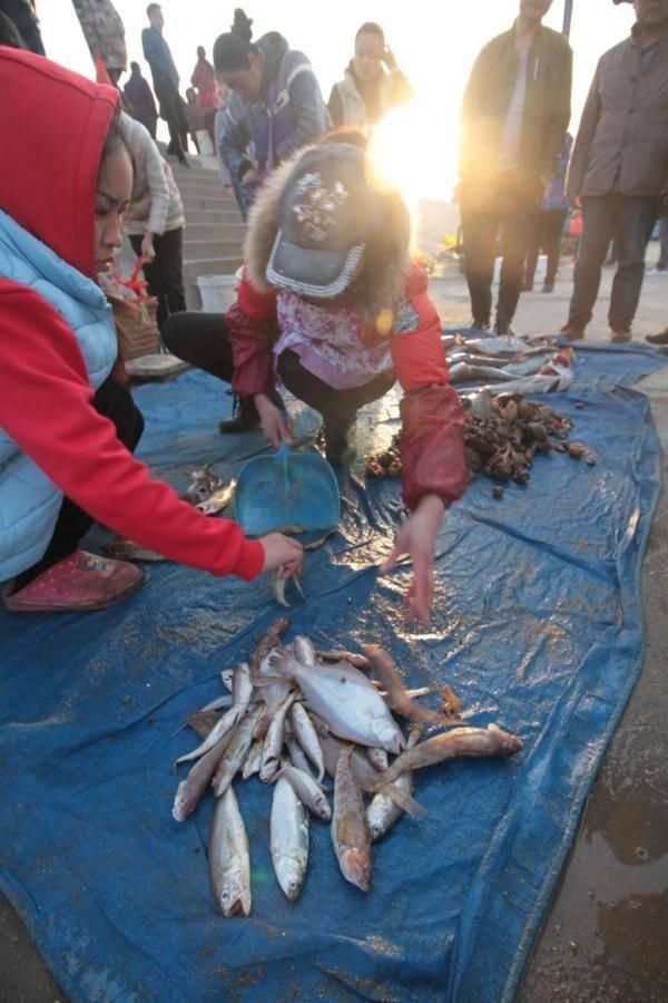 青岛渔民一天捞80斤海鲜 上岸5分钟就被抢光