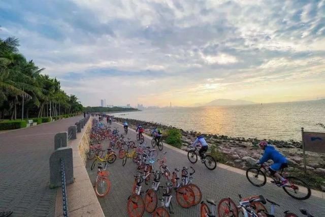  「小时」4月至10月深圳湾公园周末及节假日单车禁行时段延长1小时