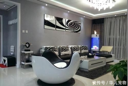  #值钱#院子里，若是见到1种“虎耳草”，要保护它，比岩黄连值钱