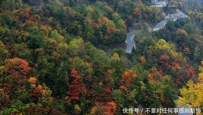 小城四季美景，养了眼，醉了心！