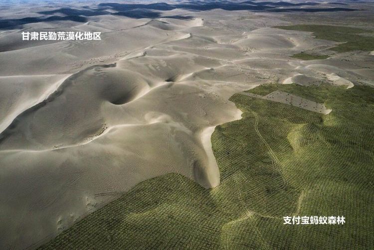  联合国■联合国颁发最高环保荣誉，5亿中国人集体获奖，国际评论