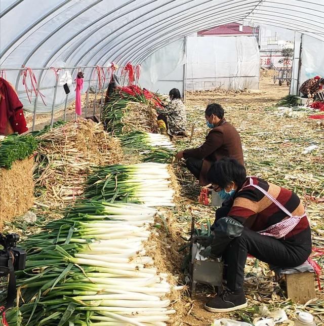  #确保#新野县：“四招”确保防疫情保生产两不误