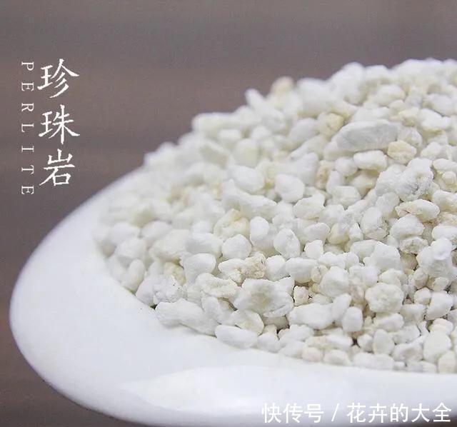 【多肉的时】多肉“铺面”的那些事儿