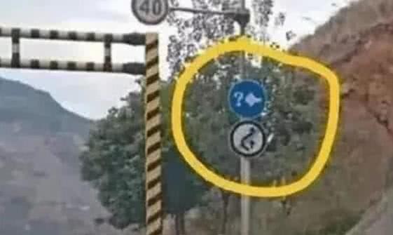  「道路交通」“灯泡+问号”是什么交通标志？交警：只要违反，一律扣200元