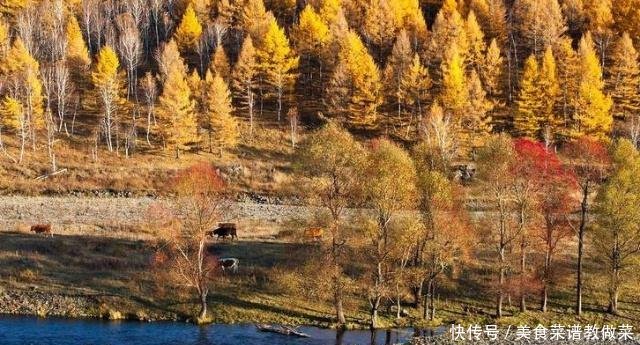  爱国：我国最“爱国”的河流流到别国又返回中国，其它河流都流向大海！