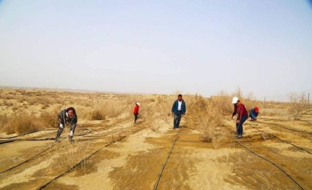  【心血】中国40年“心血结晶”: 第一个沙漠即将消失, 却引来外国人非议?