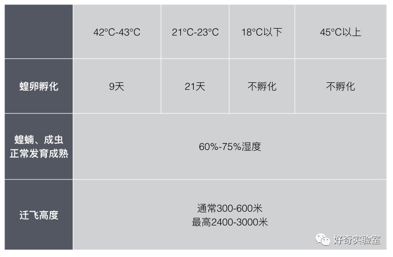  逼近@千亿蝗虫逼近中国边境，但你的辣椒和孜然可能白准备了