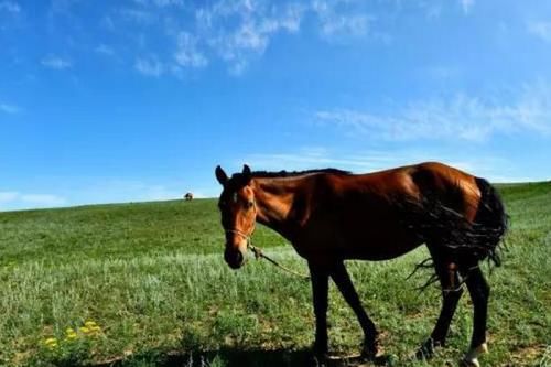 国内人少景美的五个县城，风景如画，你去过几个？