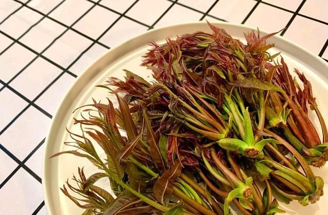  『吃法』春天应该吃什么？枝头才露尖尖角的香椿成为最佳选择