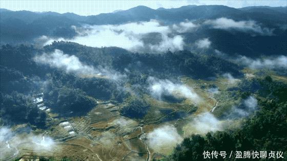 这部纪录片央视发力了,每一帧都可以当壁纸,BBC也无法超越