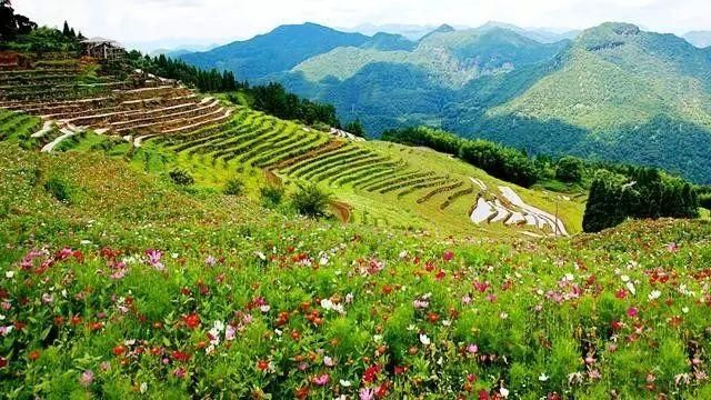 比厦门人少，比霞浦更仙，福建这个小众旅行地美哭了！