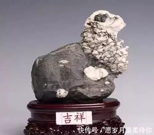  #戈壁玛瑙#奇石绵羊卖了450万！这14只羊不服了