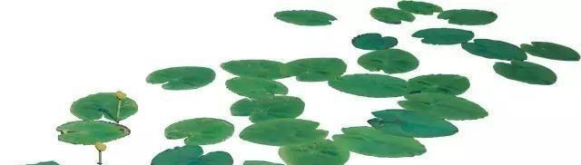 比成都安逸，比苏杭秀美，倦了就去小住几天