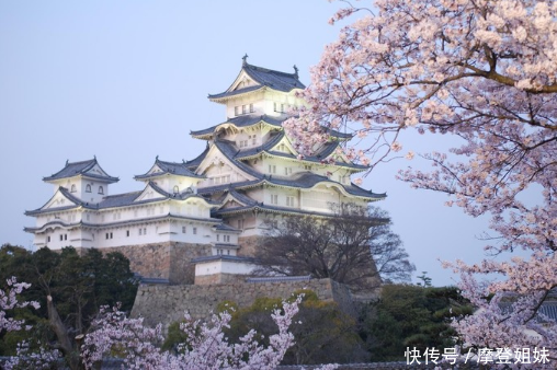 拿着国际驾照畅游日本-姬路城