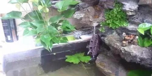  鱼缸：还在用鱼缸养鱼, 太难看了, 在阳台砌个鱼池漂亮又拉风!