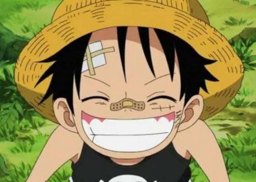 海贼王:盘点动漫中很稀有的能力,第二种能力稀