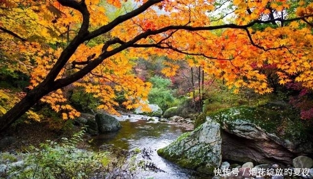 9月来袭！彩林红叶齐绽放，快让国内这6个地方承包整个秋天