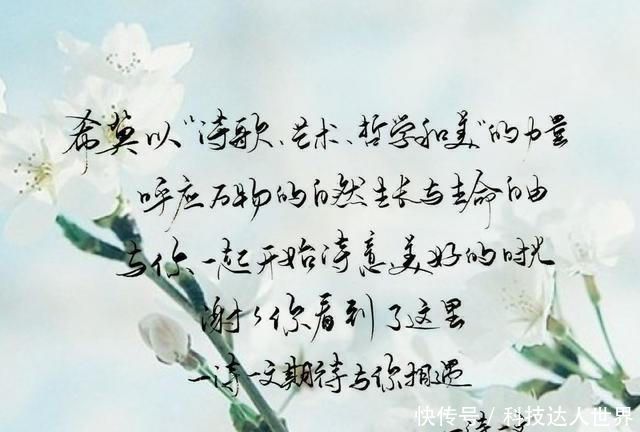 【去了五】今晚月色很美,风也温柔。一想你,梦就溢满温度。