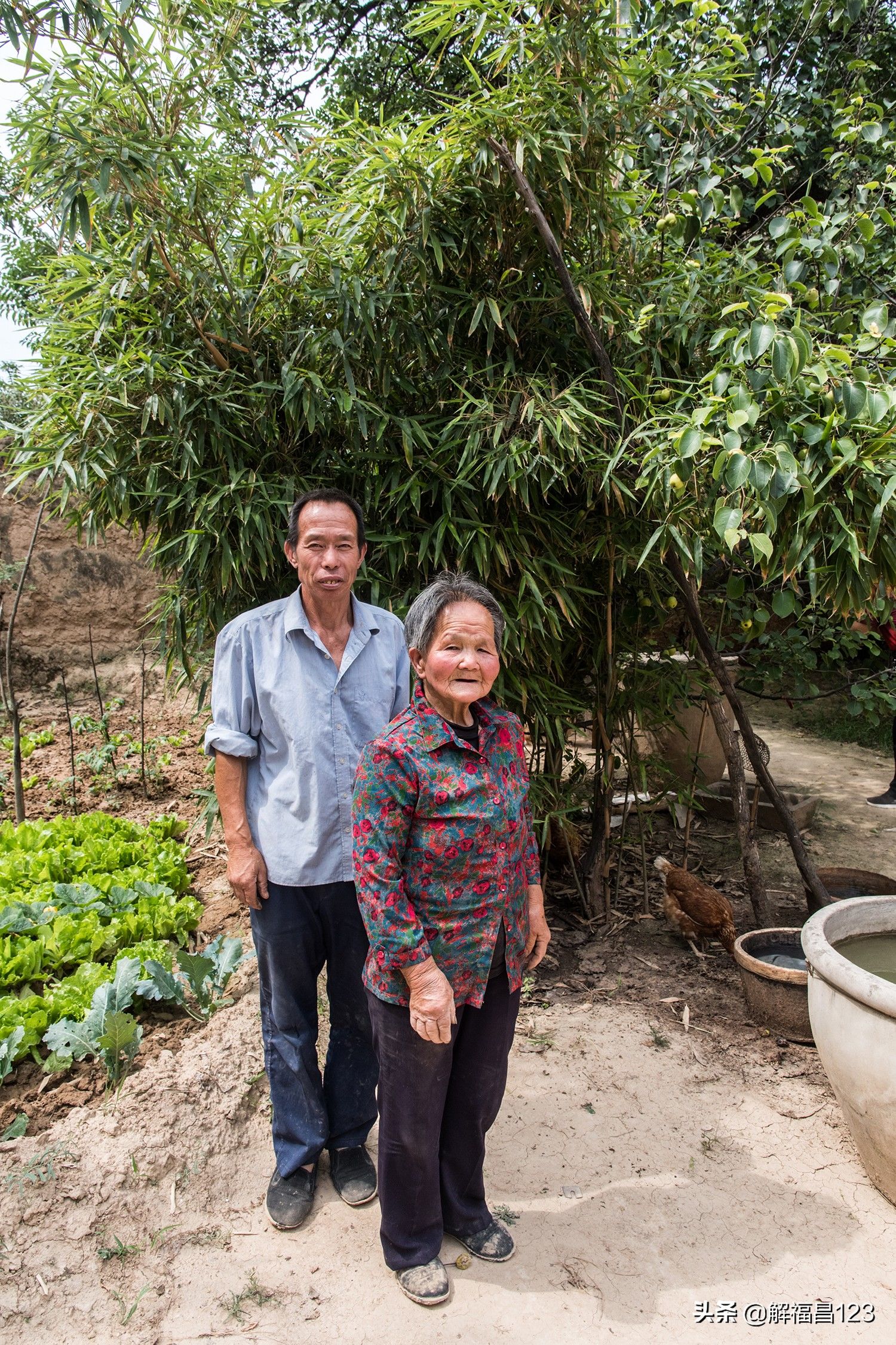 84岁母亲陪伴单身儿子在山里种60亩地，看看他们的生活吧