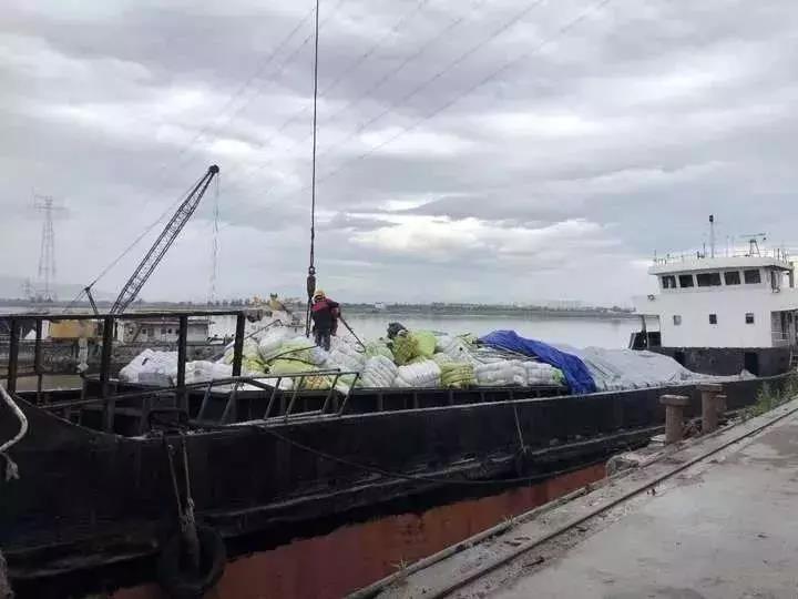 【0727】开车打电话、横穿马路、不避让行人，安顺这些人都被曝光