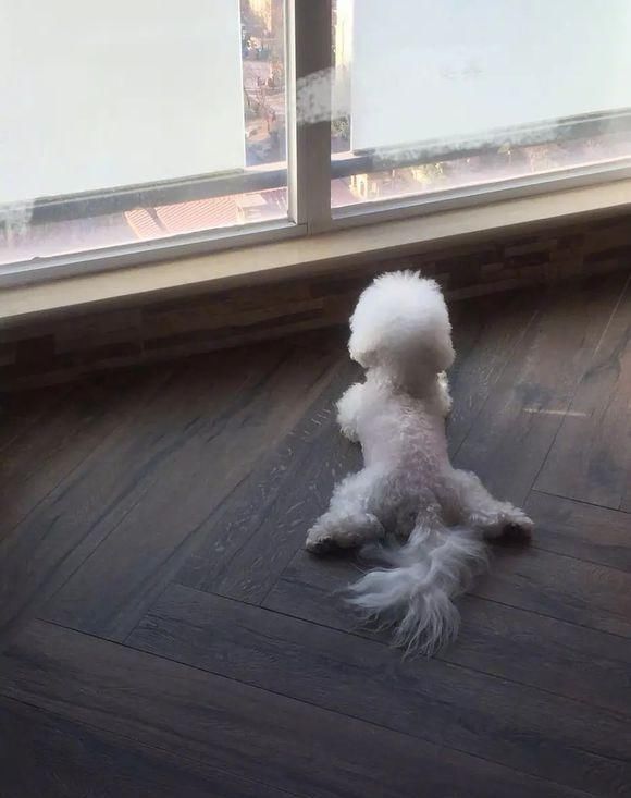 赵丽颖这次回复情商很高，辟谣了怀孕和恋情，还是单身