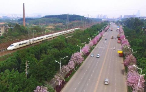 旅客列车:广西铁路部门调整部分旅客列车运行 涉及这些方向