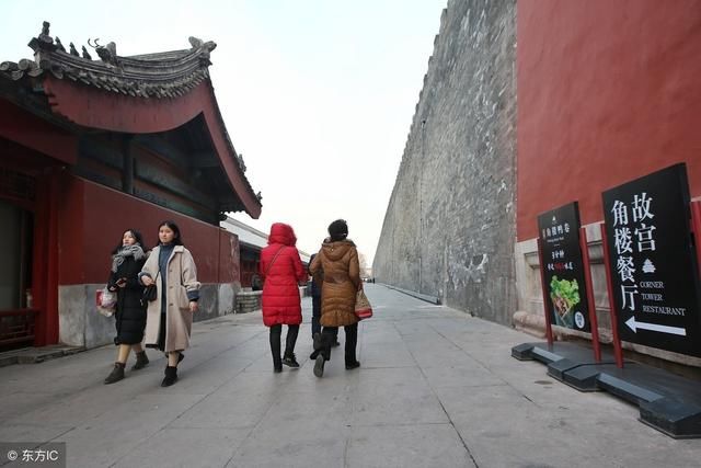 为啥故宫上面没有鸟屎？多年来成为未解之谜，游客闲逛时却戳破了