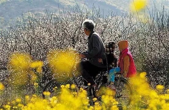 普宁1处景点美翻了，还入选“最美观景拍摄点”，你是不是没去过?