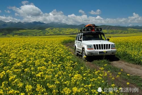 自驾游真的又贵又累，吃力不讨好吗？驴友：你可能误会了