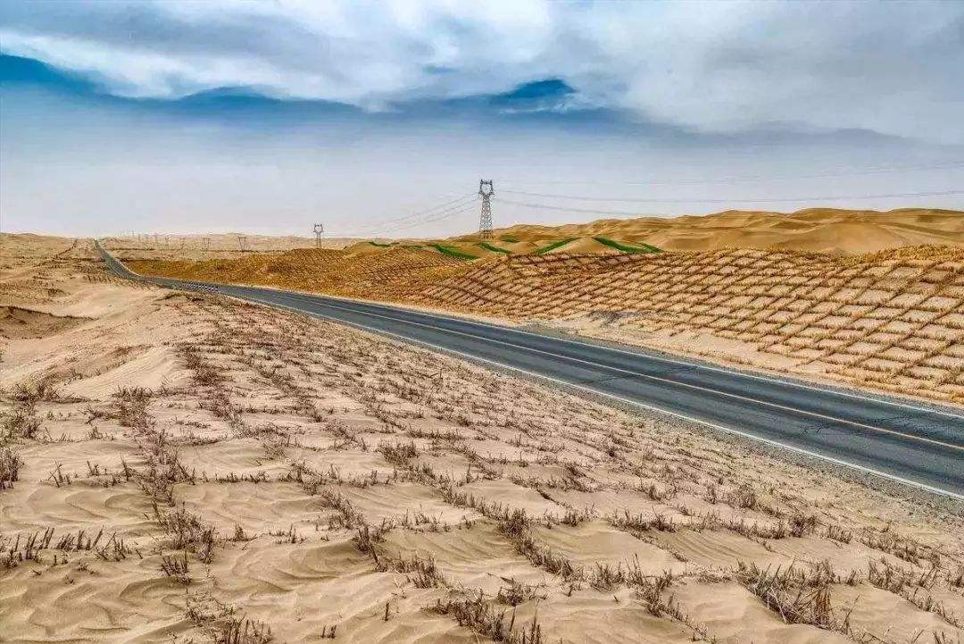 中国每年花费数亿在沙漠种树，只为跨越塔克拉玛干死亡禁区的它