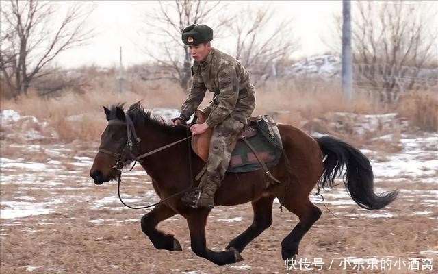  复勒瓦：军马“黑风”，边防官兵的亲密战友