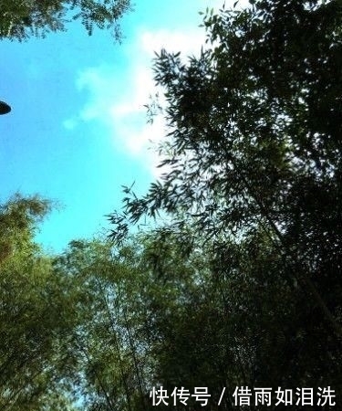 河南最佳避暑景区,瀑布成群,竹林环绕,却少有游客知道