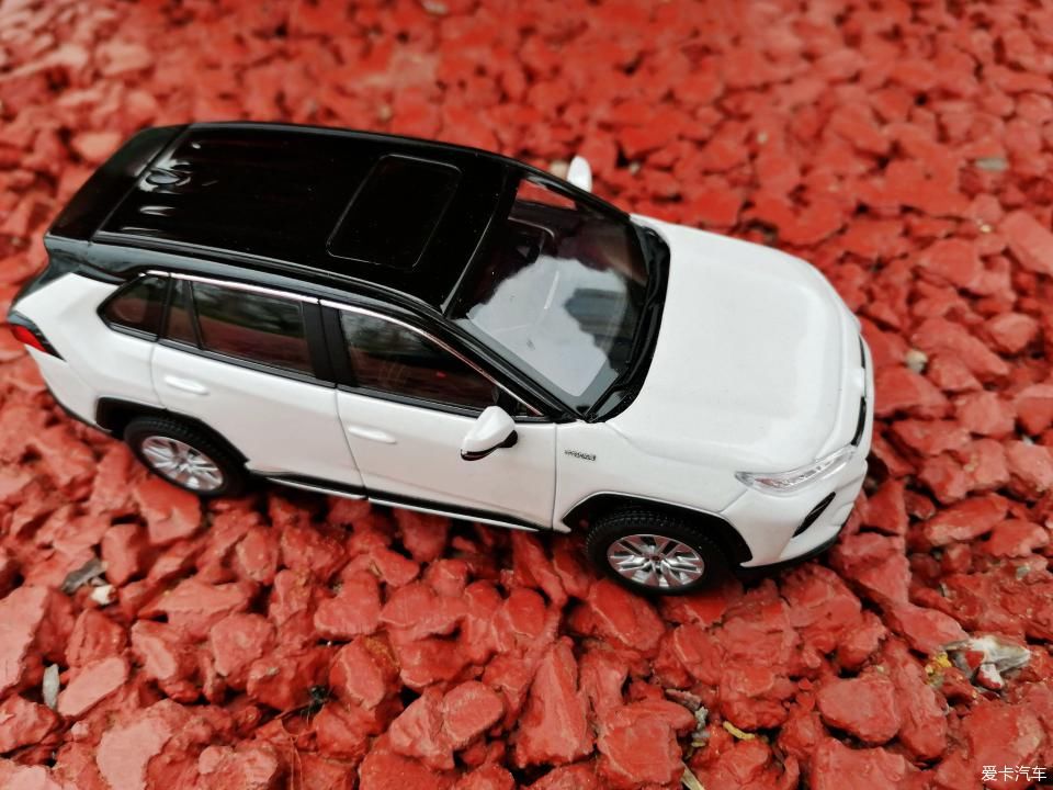 特别:十里春风,打卡滨江公园