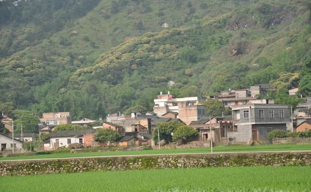 在农村也能“暴富”？未来这2种职业将会很吃香！就看你做不做