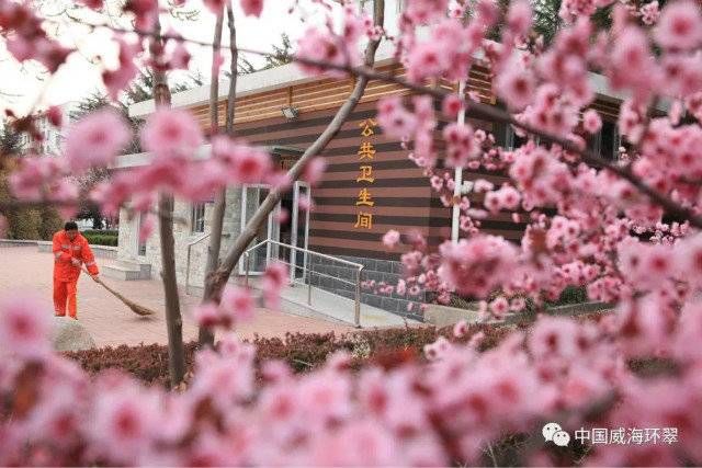  『梳妆』环翠区组织900余名环卫工人为城市“梳妆”