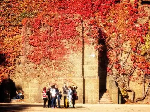 欧洲的秋天，真的不是童话！