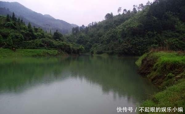  顾不上：野河钓鲫，环境优美，恰似人间天堂，却遭遇“电工”洗劫