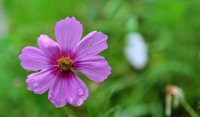  十全十美：2019退休族新标准，你达标了吗？