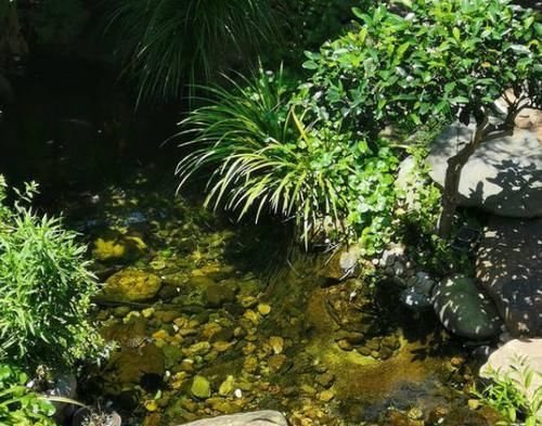  花园@想回到农村，把老家改造成花园，庭前种花，屋后种菜！