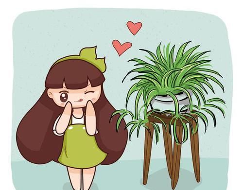 根部:水培吊兰这样养,生长健壮不烂根,状态好极了