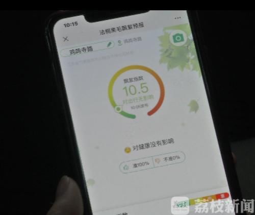  「预报」又到了梧桐絮满天飞的季节 南京今年的“飘絮预报系统”已上线