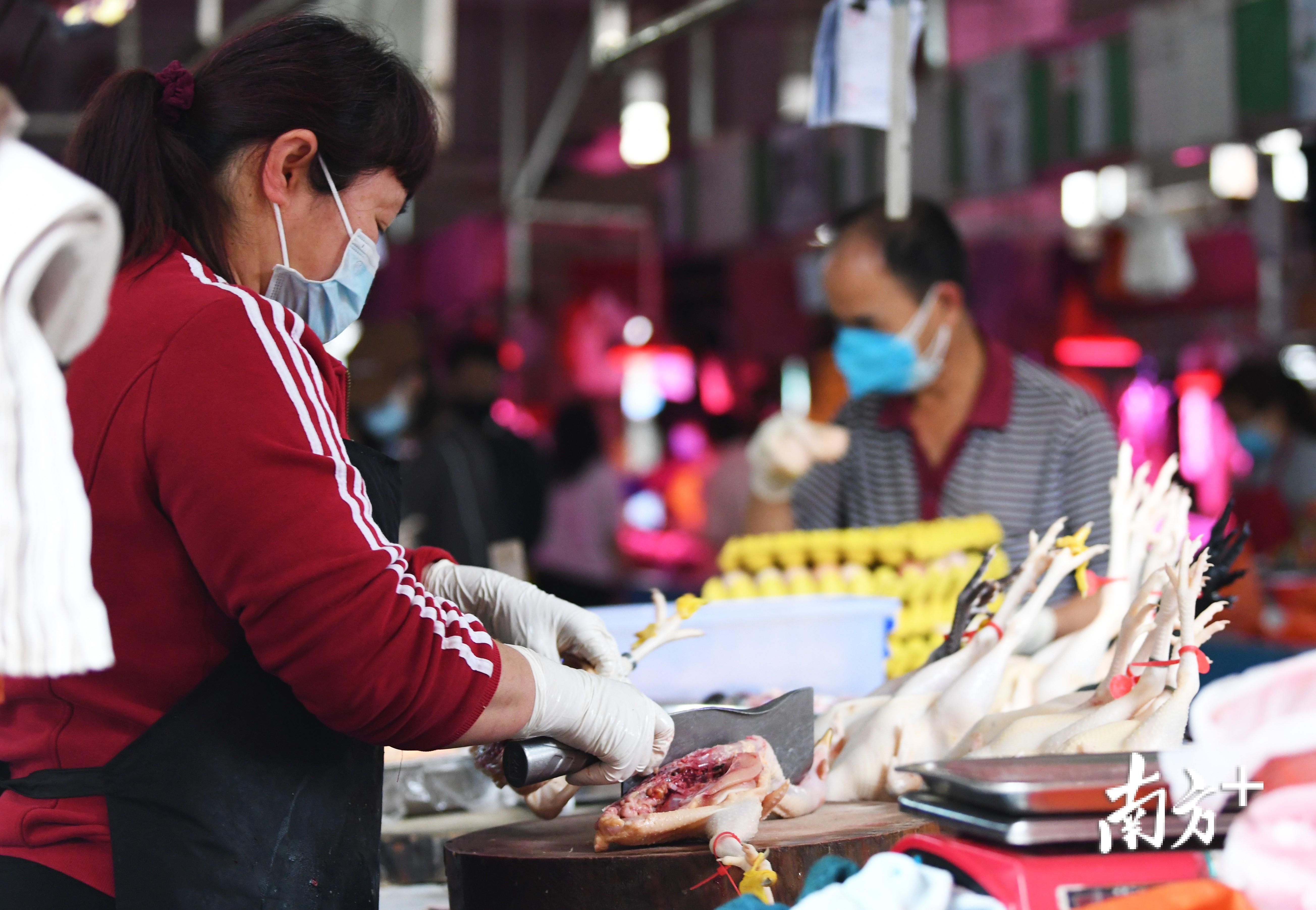  「图集」图集|疫情管控下的江门街头众生相